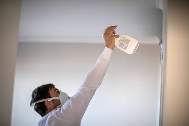 Certified Mold Removal in Midlothian, IL