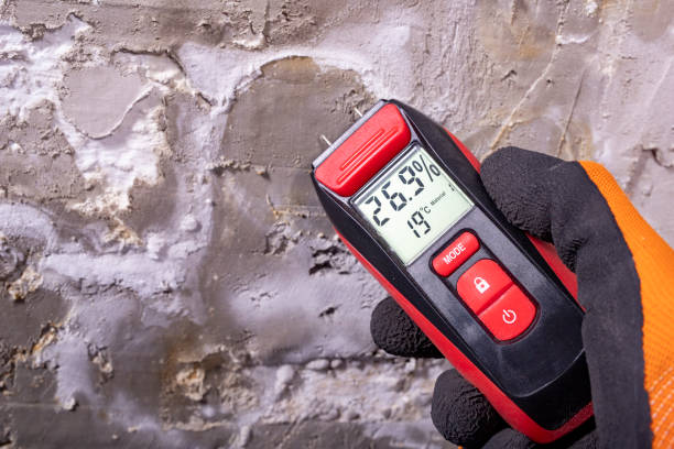 Best Mold Removal Near Me  in Midlothian, IL