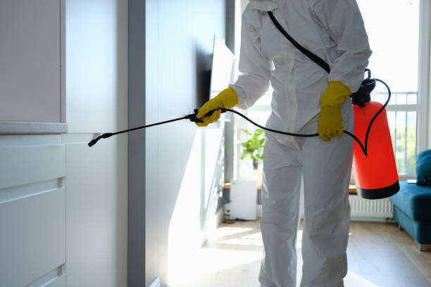 Best Mold Remediation  in Midlothian, IL
