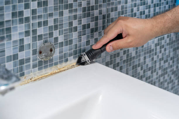 Midlothian, IL Mold Removal Company