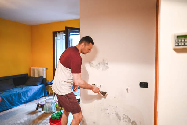 Best Residential Mold Removal  in Midlothian, IL